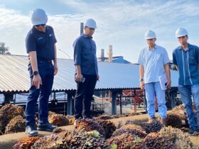 Foto : Direktur Produksi dan Pengambangan Holding Perkebunan Nusantara III Persero Mahmudi didampingi (tengah), CEO PTPN V Jatmiko Santosa (kiri), saat meninjau salah satu pabrik kelapa sawit PTPN V belum lama ini.
