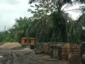 Foto : Gudang ilegal Penampungan CPO milik RML Di Dumai, (Dok/DNst).