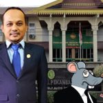 Foto : ilustrasi RNC/Dok.