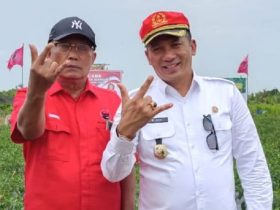 Foto : Efendi Sianipar (Kiri), Saat Panen Raya Di Meranti bersama Eks Bupati Meranti M. Adil (Kanan).